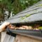 Gutter Cleaning [local_area]