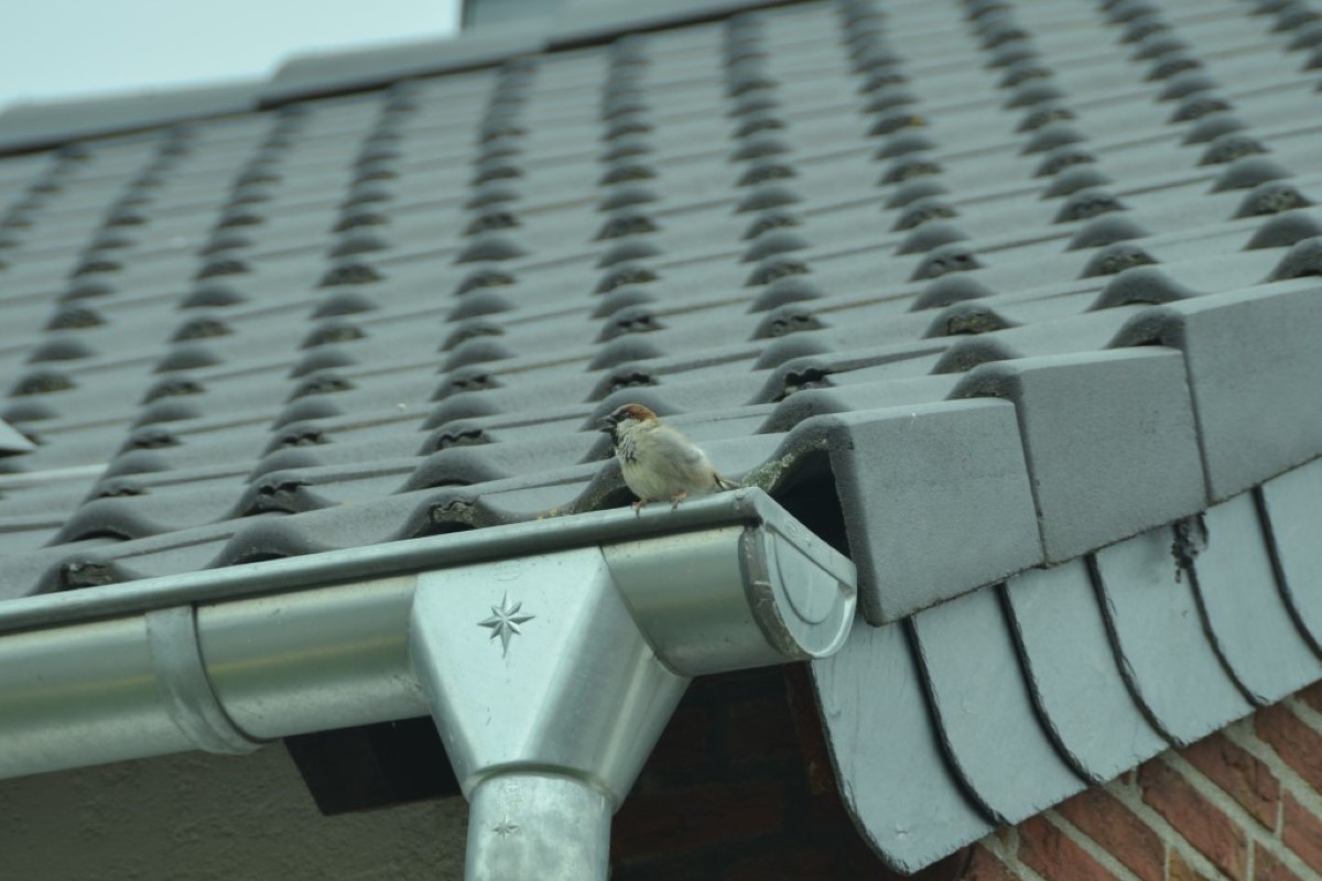 Guttering